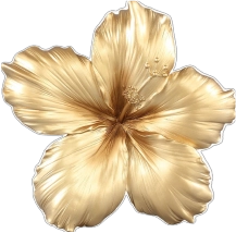 Deco